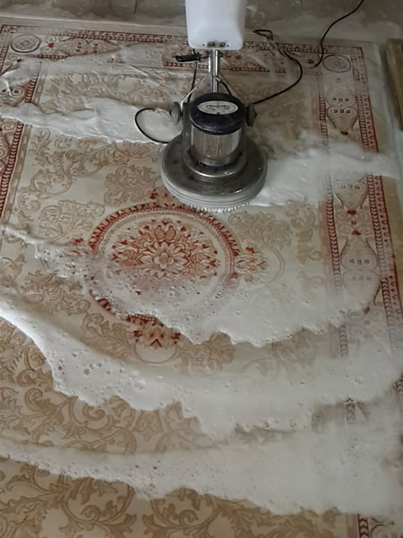 EVM34 HALI YIKAMA - RESM 2